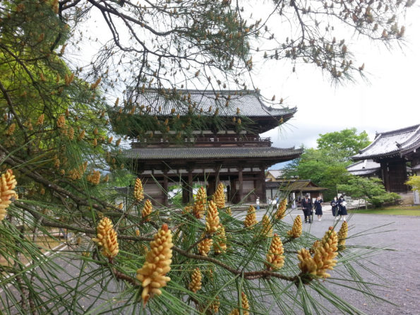 ninnaji temple