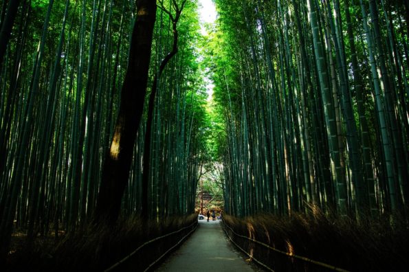 Arashiyama