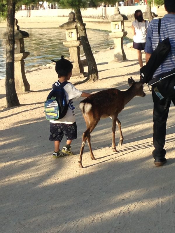 mount-misen-miyajima-japan-tallypack-travel