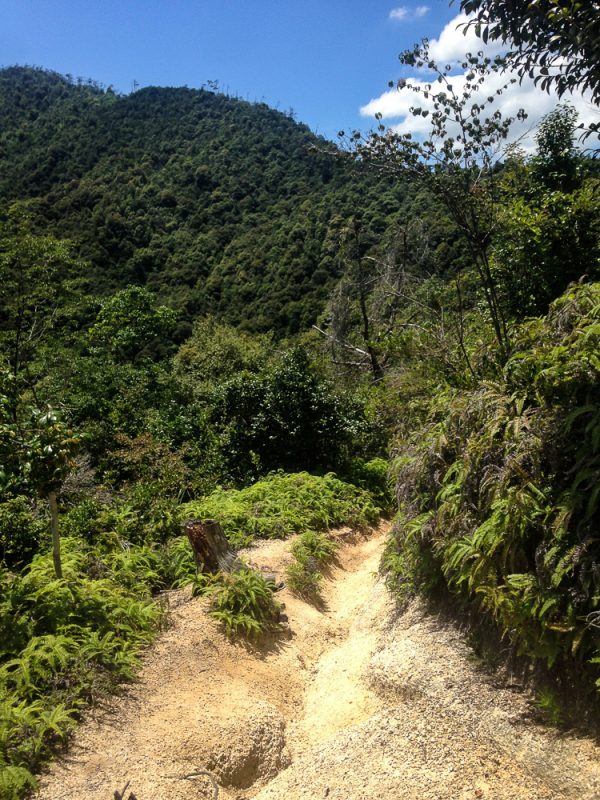 mount-misen-miyajima-japan-tallypack-travel