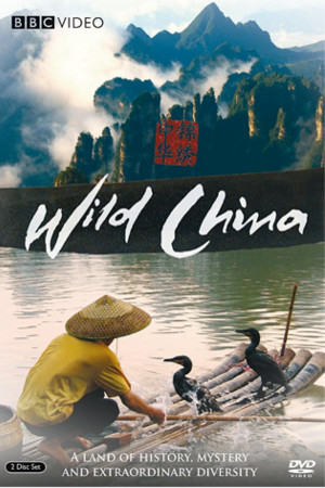 China Movies