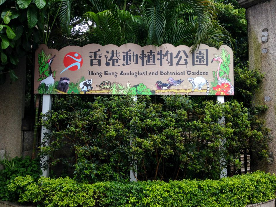 Hong Kong Botanical Gardens