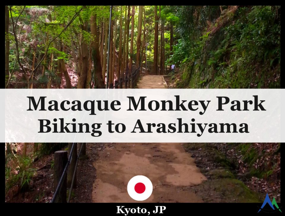 Arashiyama-macaque-monkey-park-kyoto-Japan
