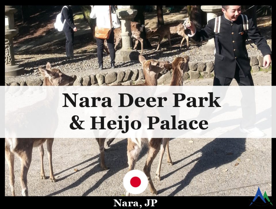 Nara=Deer-Park-Japan-Tallypack-Travel